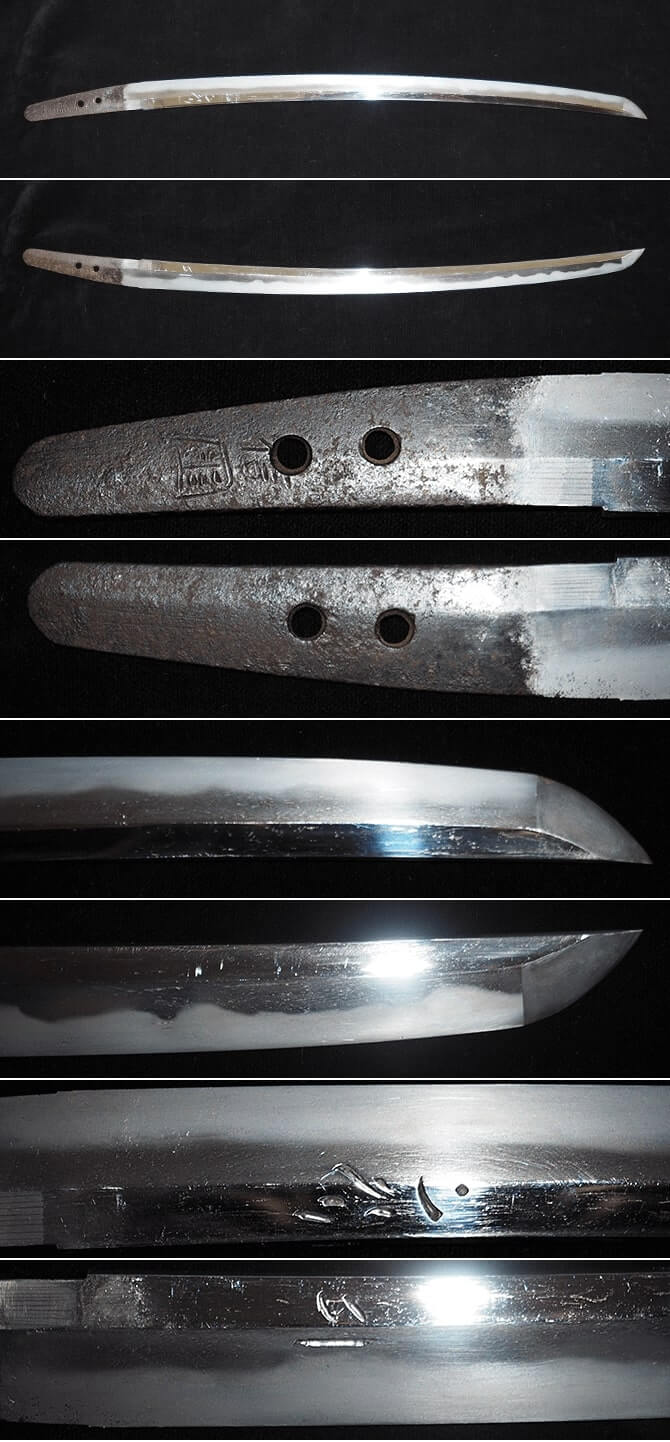 脇差-046 信国（源左衛門尉）白鞘入り 特別保存鑑定付| 日本刀や刀剣の